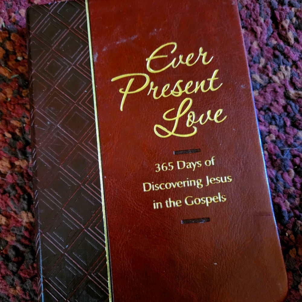 Daily Christian book
